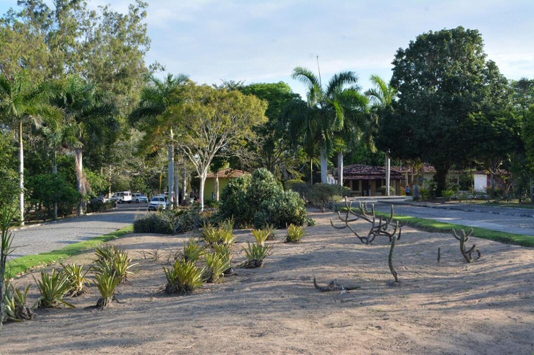 Brinca Feira Parque da Cidade será palco de grandes atrações para o Dia das Crianças no domingo (Copy)
